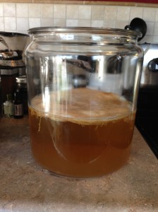 Kombucha 1