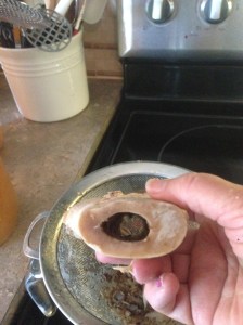 As you can see, the marrow has been completely cooked from this bone, as well as all cartilege that was on it in the beginning.